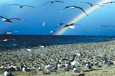 仙境寻踪 蓬莱阁、陆上游长岛、万鸟岛三日精华游（烟台进出·小螺号当地游）